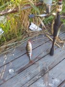 20130602_182611.jpg