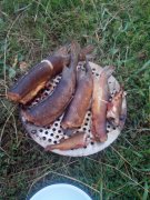 IMG_20130601_141303.jpg