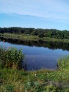 IMG_20130602_072556.jpg