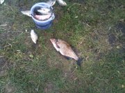 IMG_0826.jpg