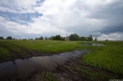 IMG_9529.jpg