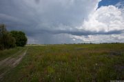 IMG_9540.jpg