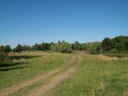 100_1010.jpg