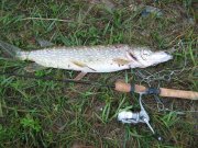 IMG_0841.jpg