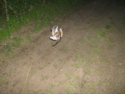 IMG_0816.jpg