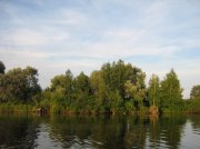 IMG_6638.jpg