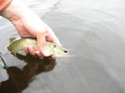 IMG_6668.JPG