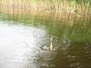 IMG_6677.jpg