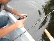 IMG_6681.JPG