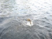 IMG_6686.jpg