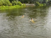PIC02734.JPG