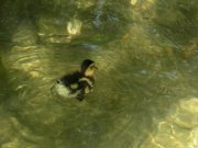 DSCN2818.jpg