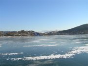 P1137683.JPG