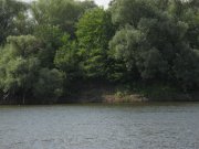 IMG_0715w.jpg