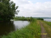 SS851794.JPG