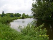 SS851809.JPG