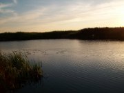 100_1311.jpg