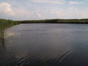 100_1266.jpg