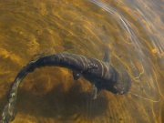 IMG_3901.jpg