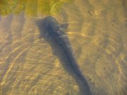 IMG_3902.jpg