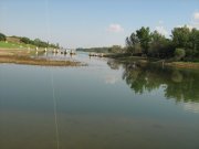 IMG_0070[1].jpg