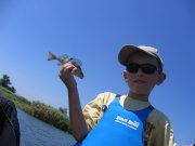 IMG_1137.JPG