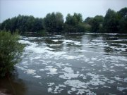 DSCN0970.jpg