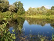 100_1678.jpg