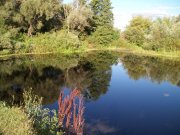 100_1682.jpg