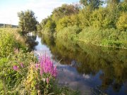 100_1692.jpg