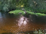 100_1663.jpg