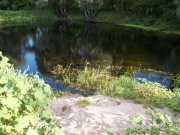 100_1675.jpg