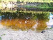 100_1723.jpg