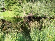 100_1700.jpg