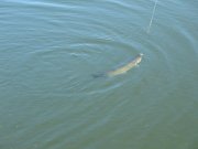 IMG_3513.jpg