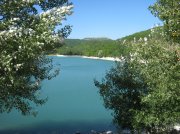 IMG_7644.jpg
