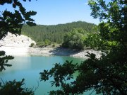 IMG_7647.jpg