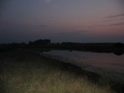 IMG_4491.jpg