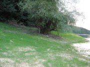 IMG_0827.jpg