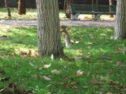 IMG_2577.JPG