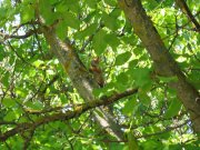IMG_2579.JPG