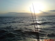 DSC00323.JPG