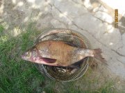 IMG_0839.jpg