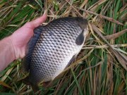 100_2238.jpg