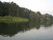 IMG_0803.jpg
