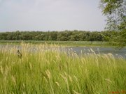 DSC00381.JPG