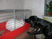 DSCN1038.JPG