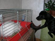 DSCN1045.JPG