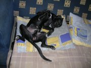 DSCN1048.JPG