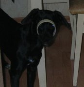 DSCN1050.jpg